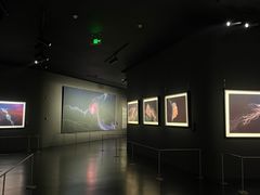 -罗红摄影艺术馆