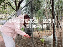 -厦门悦华酒店