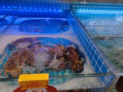 -七欣天香辣蟹火锅(南京桥北太平店)