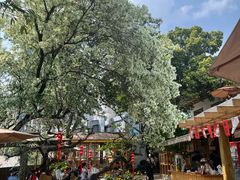 -三圣花乡旅游区