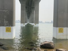 -中澳友谊花园