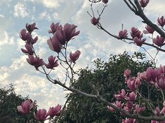 -万达广场(松江店)