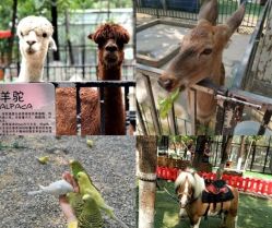 -萌宠亲子动物乐园(槐房万达店)