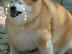 -1点点(温州府前店)