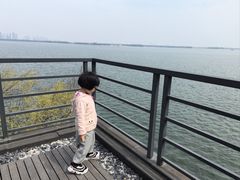 -湖滨客舍·湖北菜