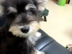 -它主义宠物(梁溪万达店)