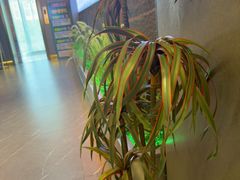 -7号院家宴.烧鸽子(门头沟店)