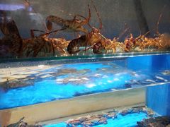 -郑庄脂渣海鲜楼(九水路店)