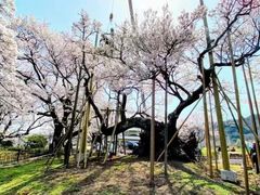 -学习谷日语培训日本留学·多语种外语教学(西单宣武分部)