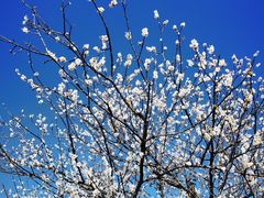 -广州市流溪河国家森林公园