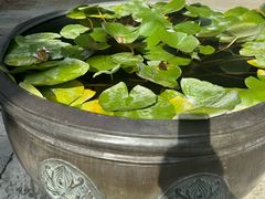 -广富林宰相府酒店·水云间