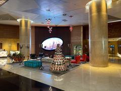 -南京禄口机场雅高铂尔曼大酒店