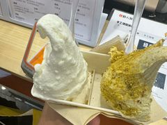 -野人先生现做冰淇淋(西安赛格店)