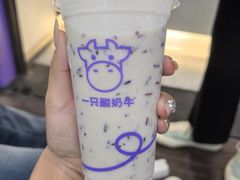 -万达广场(万州店)