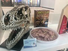 -斯坦星球AI编程·机器人科创·科学实验·信奥·思维·STEM·乐高·竞赛考级(长宁虹桥大融城荟聚中心)