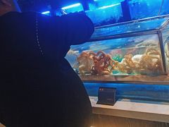 -V-ONE西雅图海鲜自助餐厅(仓山万达广场店)