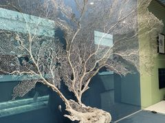 -中国湿地博物馆
