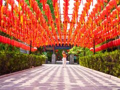 -大槐树寻根祭祖园