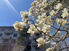 -北京友谊宾馆·俄罗斯餐厅