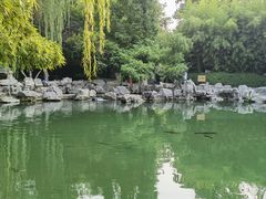 -趵突泉景区
