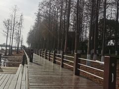 -苏州太湖湖滨国家湿地公园