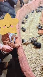 -Zoolung Zoolung动物主题公园(海信广场店)