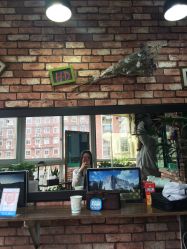 点击看大图 -HD HAIR STYLE