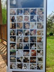 -艾缇森原创定制婚礼ATS WEDDING