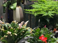 -豆豆花艺(新光天地店)