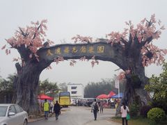 -天适樱花悠乐园