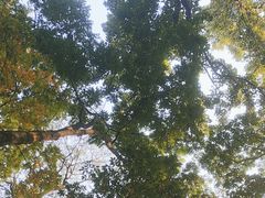 -杭州植物园