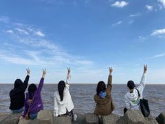 -南汇嘴观海公园