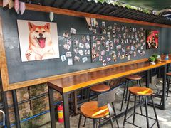 -柴犬高等学院·狗咖·柴犬售卖·宠物训练