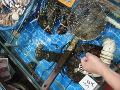 -船奇蒸汽海鲜·闽菜(八市海鲜总店)