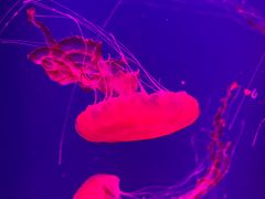 -沈阳海洋探索中心