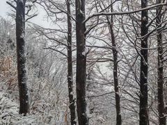 -东白山