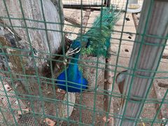 -南通洲际绿博园