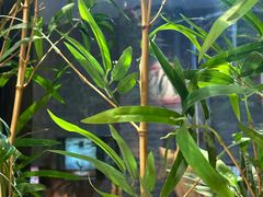 -牛村来人潮汕牛肉火锅(西单店)