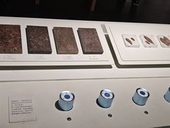 -中国茶叶博物馆(双峰馆区)