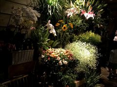-春暖花开(西溪店)