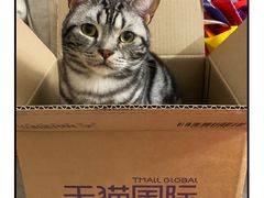 -悦宠凯宝动物医院·牙科·皮肤科(朝阳北路店)