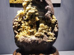 -青田石雕博物馆