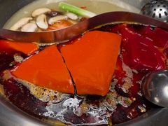 -蜀九香火锅(彩虹店)
