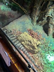 -酷嗒动物文化乐园(cutezoo西溪乐天城店)