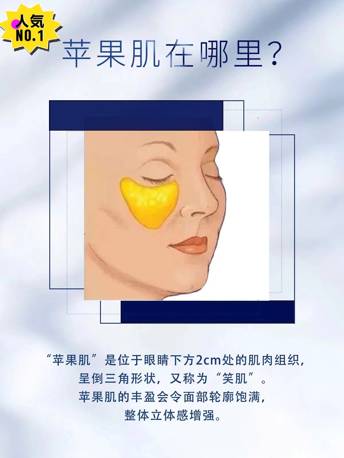 苹果肌位置图片