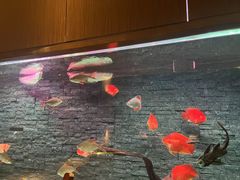 -手佳·水疗汇(嘉益店)