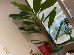 -曼泰·泰餐(江南环球港店)