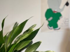 -吾象走甜·生日蛋糕·甜品台茶歇