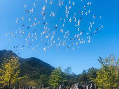 -千岛湖石林