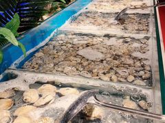-大蟹天下海鲜自助